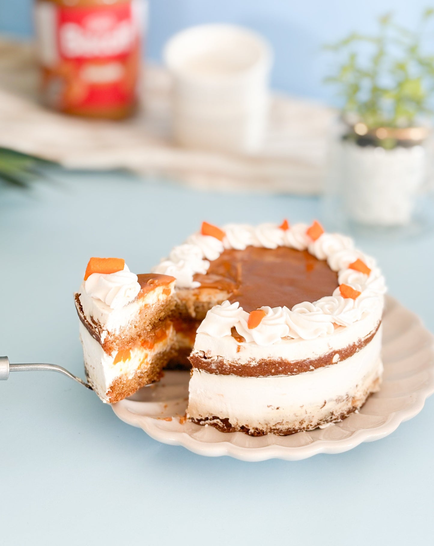 MANGO BISCOFF